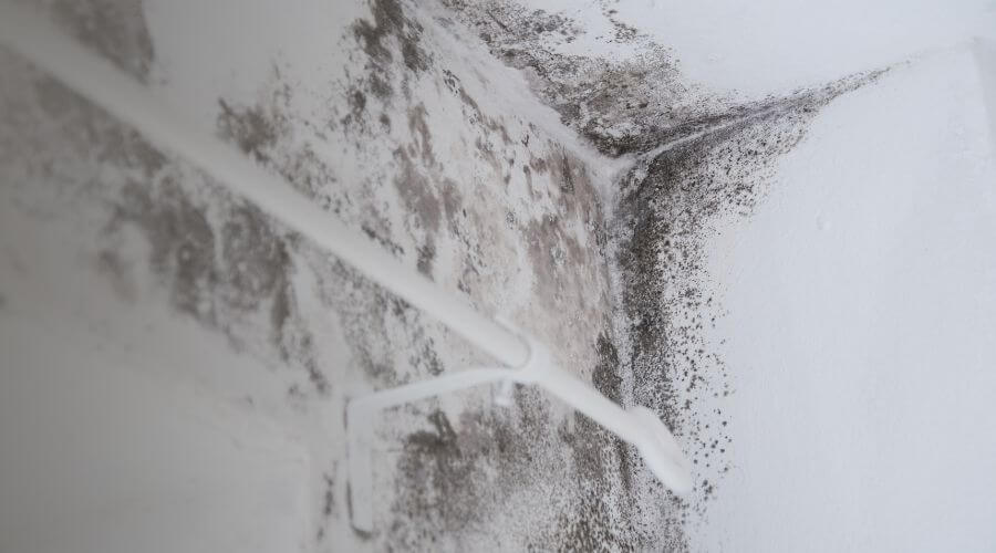 Why choose water damage cleanup for ceiling water damage repair in Norristown